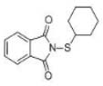 Rubber-Vulcanizing-PVICTP-80-Structure